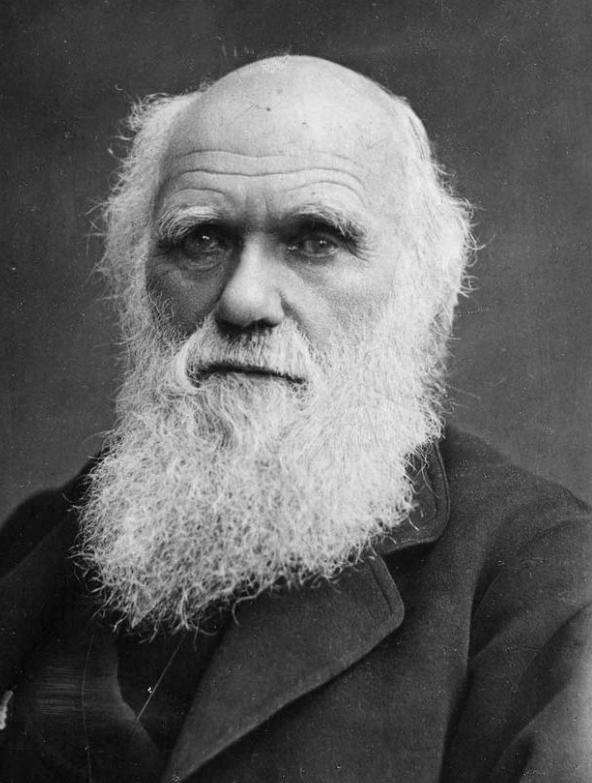 Čārlzs Darvins par sugu... Autors: Fosilija 19. gadsimta notikumi, kuri šokēja pasauli.[3]