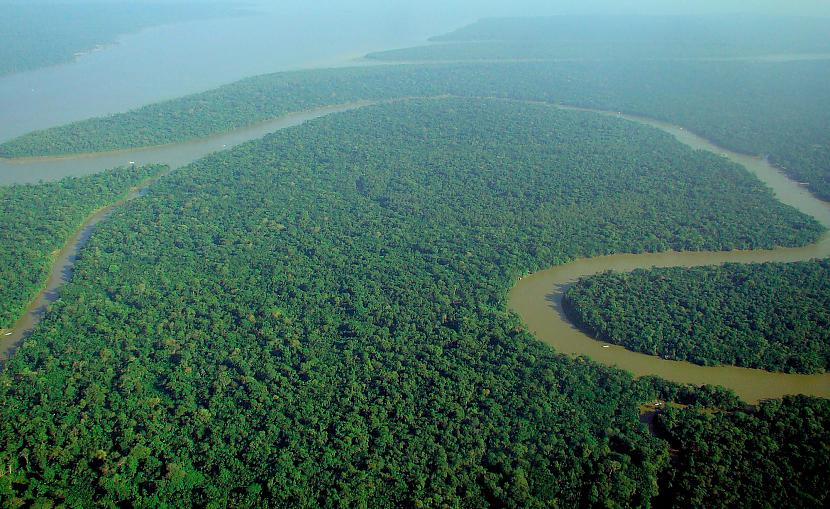 Tropiskie lietus meži atrodas... Autors: Fosilija Daba tropiskajos lietusmežos.