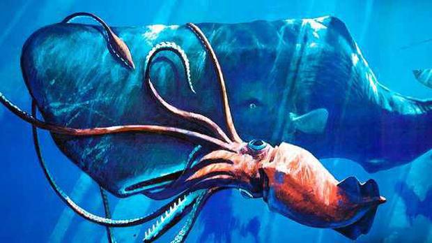 1 Colossal SquidnbspScaronis... Autors: beatitudinem Top 10: Neredzētas būtnes, kas dzīvo okeāna ūdeņu dzelmē.