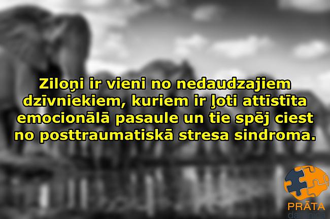  Autors: Prāta Darbnīca 20 labākie fakti speciāli tev II