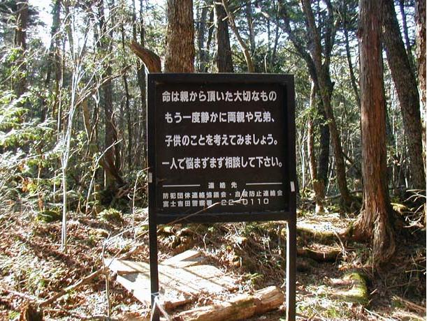 Ar mērķī cīnīties pret... Autors: Lestets Aokigahara mežs