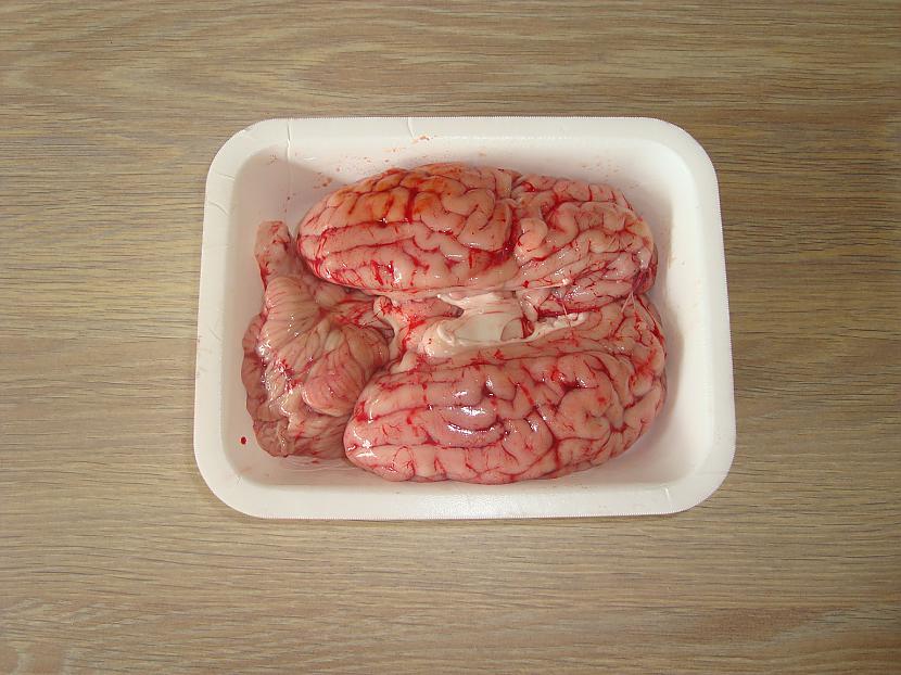 Svaigas teļa smadzenes Kāda... Autors: merkators Fritētas smadzenes