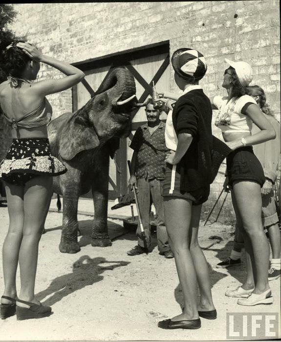  Autors: Lords Lanselots 1949.gads - cirkā tikai meitenes!!!