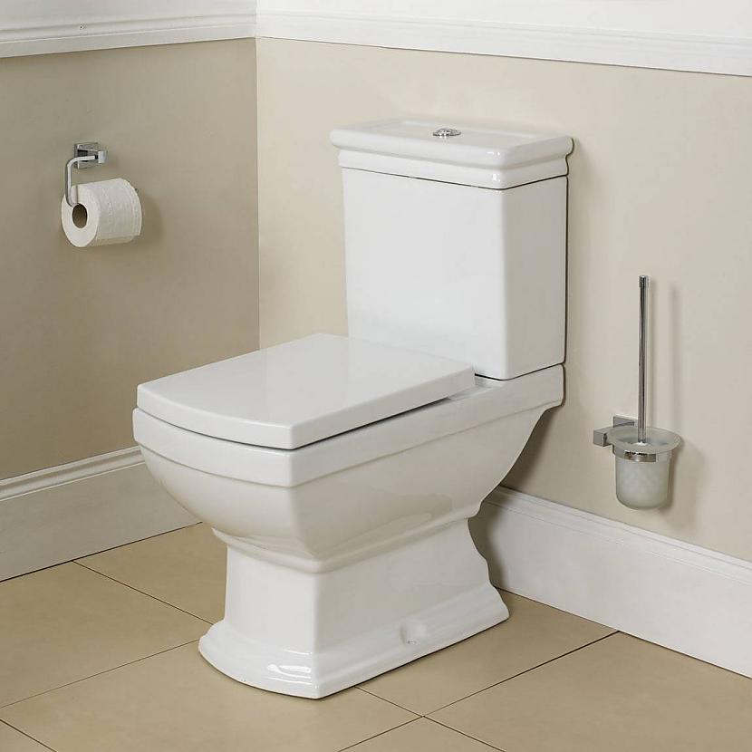 68 amerikāņu novieto tualetes... Autors: Fosilija Fakti par tualetēm