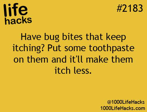 Ja kukaiņa kodums ļoti niez... Autors: Mārtiņš2 Vēl 15 labi padomi vieglākai dzīvei