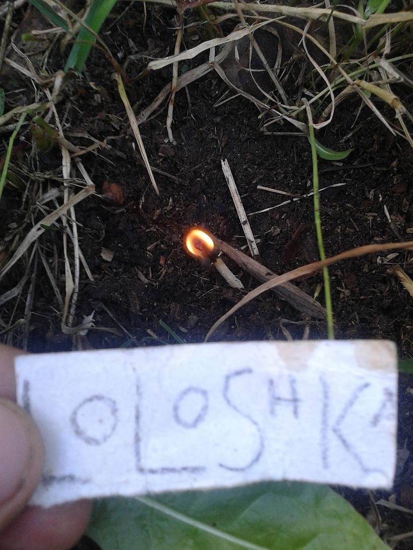  Autors: loloshka Fs uguns LABOTS