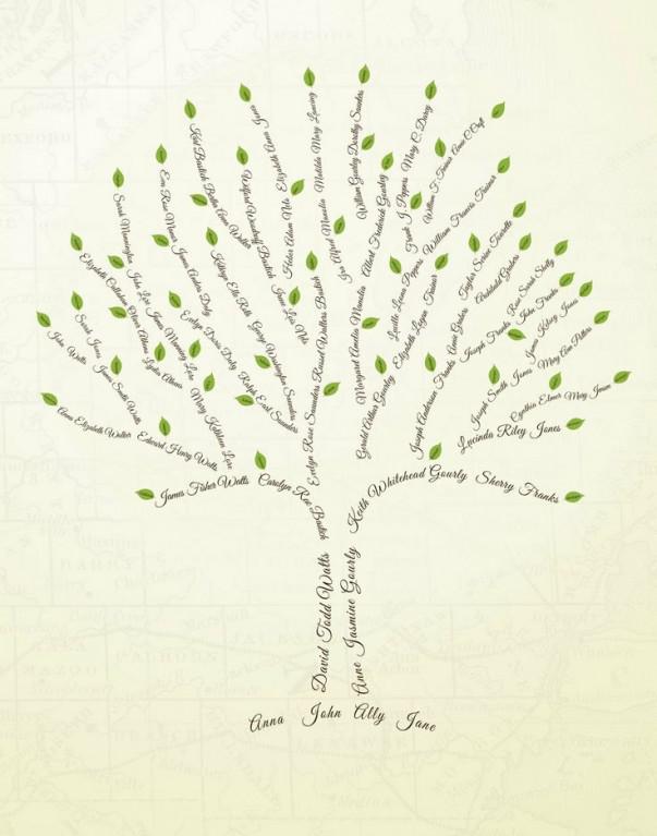 Izveido savu ģimenes koku Autors: Past Echo Idejas,ko darīt,kad nav ko darīt...