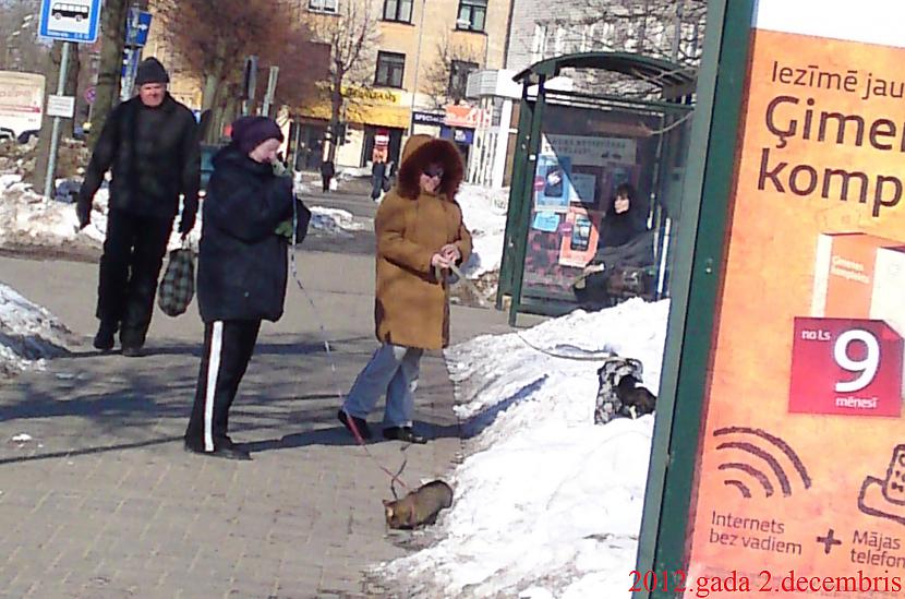 Ari Jelgavā moderni cilvēki... Autors: Scorpio3 Tiem, kam patīk okšķerēt.