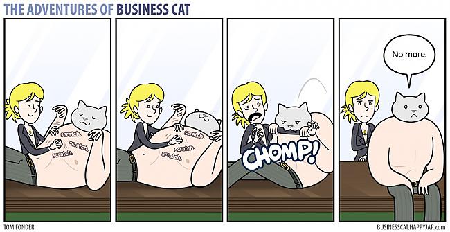  Autors: labaiscilveks the adventures of business cat