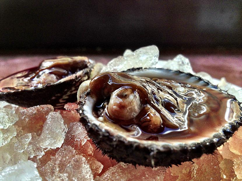 Asins gliemeži blood clams... Autors: im mad cuz u bad Pasaulē bīstāmākie ēdieni