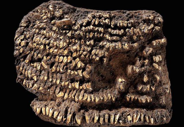 Senākais maks 4 500 gadu To... Autors: Alevender Kā izskatās tūkstošiem gadu vecas drēbes un aksesuāri?