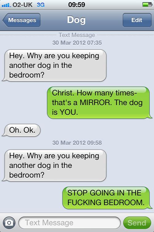  Autors: elipsys Kā būtu, ja suņi mācētu rakstīt SMS!