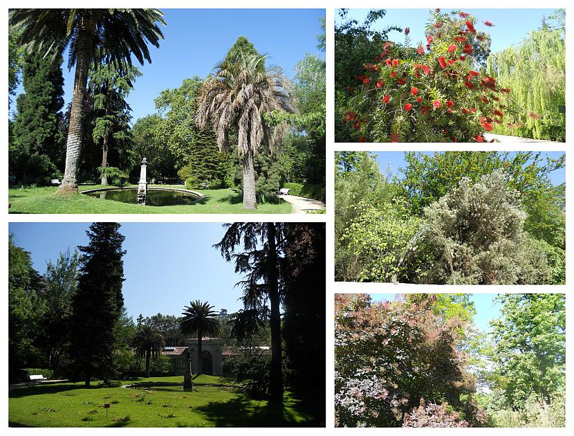 Karaliskais botāniskais dārzs... Autors: Pēteris Vēciņš Burbonu Madride. Spānijas citadele Madride 2. daļa.