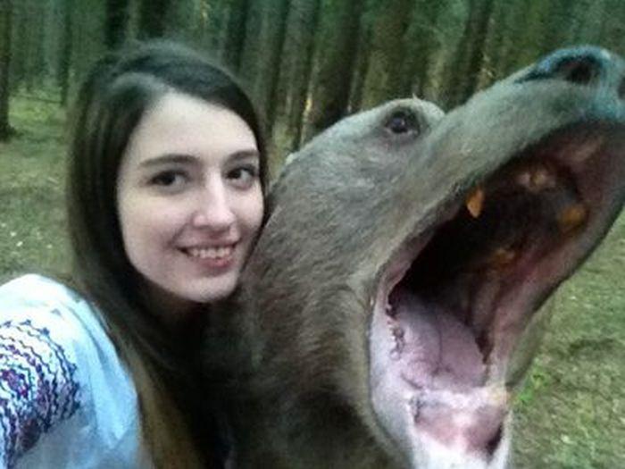  Autors: Mao Meow Krievu meitene uzņem selfiju ar lāci!