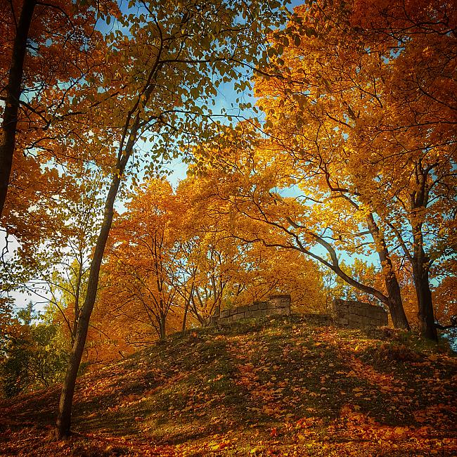 Rudens ienāk arī Āgenskalnā Autors: ghost07 Manas rudens bildes no Instagram