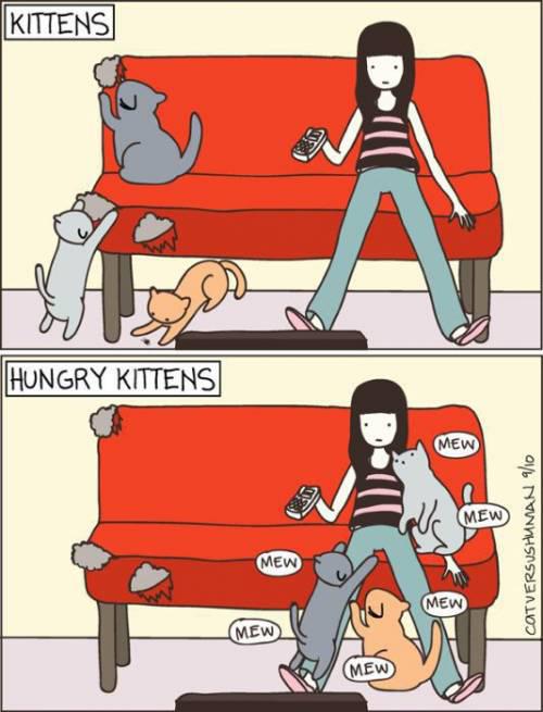  Autors:  Kaķītis  Komiksi ar kaķiem!