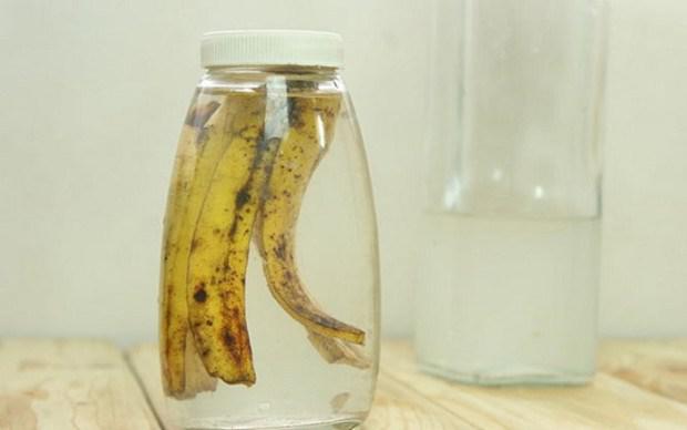 Pievienojot banaanu mizu... Autors: ezkins 15 neticami veidi, kā izmantot banānu mizas