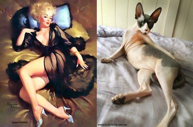  Autors: rihcaa Sievietes  & Kaķi !!!