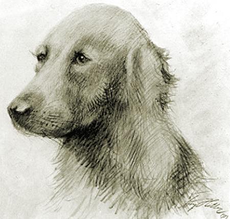 Attēlā Redzams suns kuru... Autors: Spriciks911 Hitlers, visapmelotākā Persona cilvēces Vēsturē (1.Daļa)
