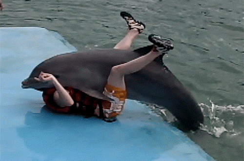 Delfīni kuri sazinās viens ar... Autors: Tavs kolēģis Piedūrīgi fakti #1 Zupa no cilvēku gaļas