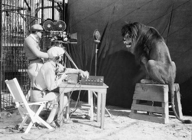 Filmējot MGM Lauvu jā tas... Autors: Fosilija 20. gadsimta 20 spēcīgākās fotogrāfijas