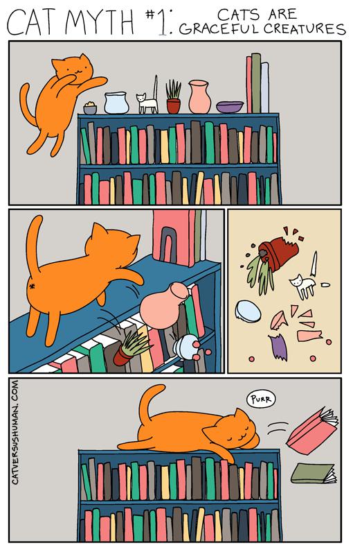  Autors: Agatuxlv Cat vs human