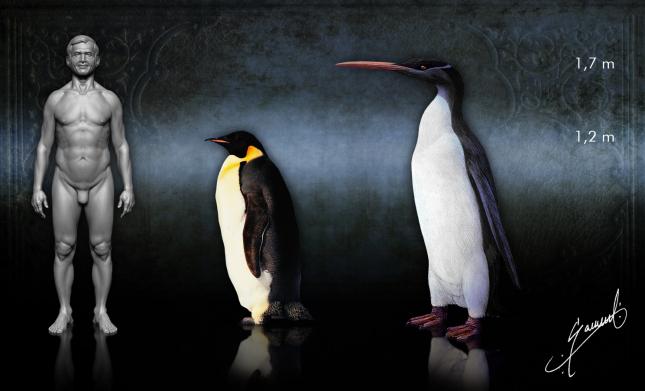 Īsisakot milzu pingvīns ar... Autors: Agresīvais hakeris Aizmirstie milži 2!