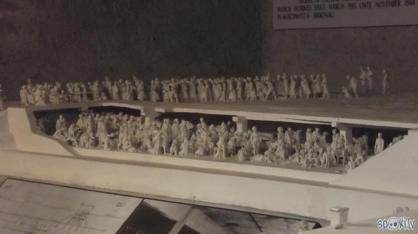 Scaroneit redzams kā cilvēki... Autors: Fosilija Es tur biju, es to redzēju - Aušvices koncentrācijas nometne Birkenau #1