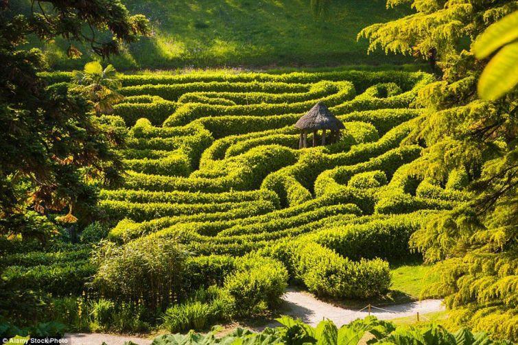Anglija Glendurgan daarzi... Autors: ezkins Labirinti, labirinti...