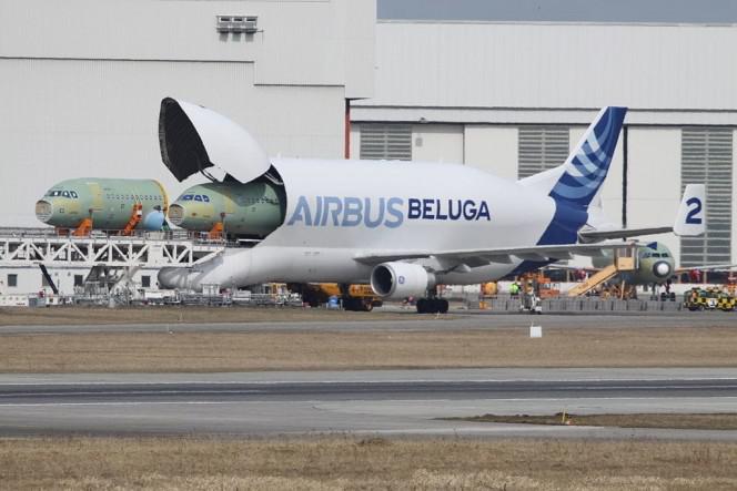 Airbus Beluga ir radīts lai... Autors: Fosilija Vistrakākās lietas, jebkad uzbūvētas, vēl eksistē!