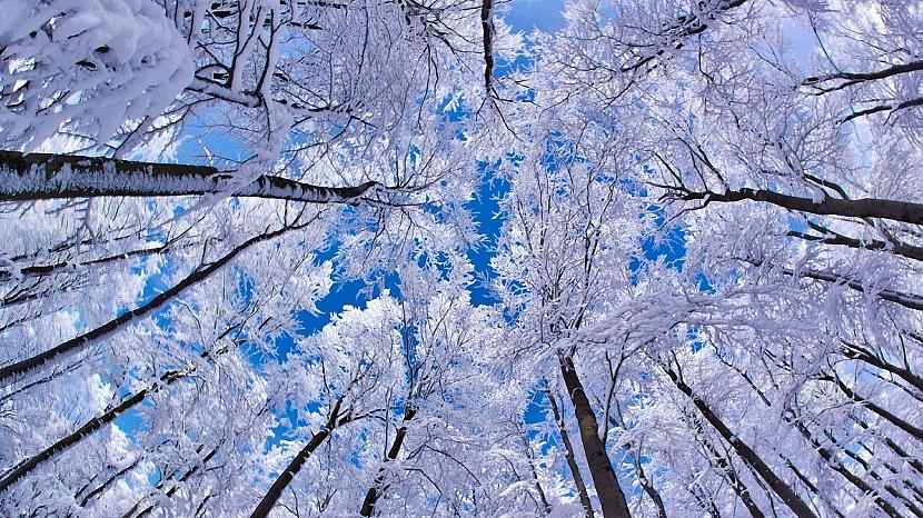  Autors: Hybrid Indy Vikipēdija par ziemu