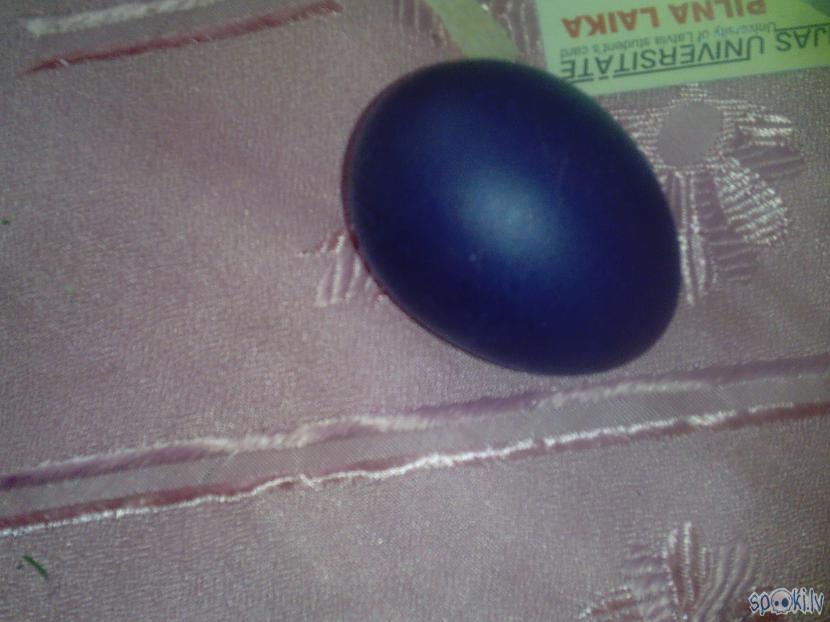 Dzīvē violetabildē zila... Autors: Latvian Revenger Lieldienas rīt,laiks olas krāsot