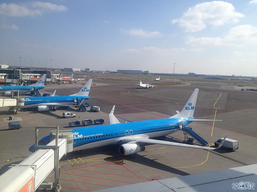 Amsterdamā ir milzīga lidosta... Autors: Latišs Amsterdama un maģiskās kūciņas