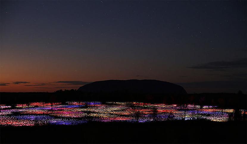  Autors: KALENS Gaismas lauks: mākslinieks izmanto 50.000 lampiņas, lai radītu maģiskus skatus