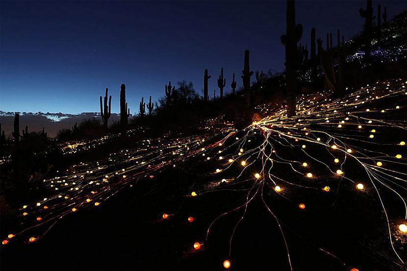  Autors: KALENS Gaismas lauks: mākslinieks izmanto 50.000 lampiņas, lai radītu maģiskus skatus