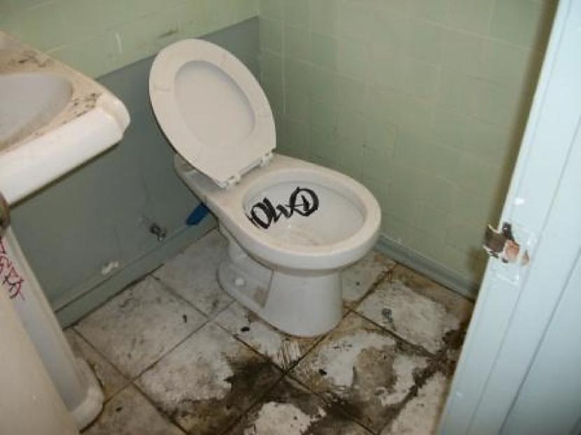 TualeteKoju tualetes var bieži... Autors: KALENS TOP lietas, ko atradīsi kojās!