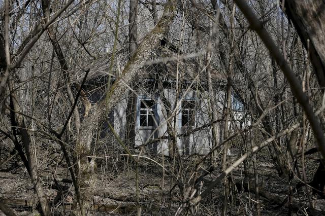 Pamesta privātmāja Mājas... Autors: theFOUR Vēl joprojām radioaktīvs: 30 gadi kopš Černobiļas katastrofas.