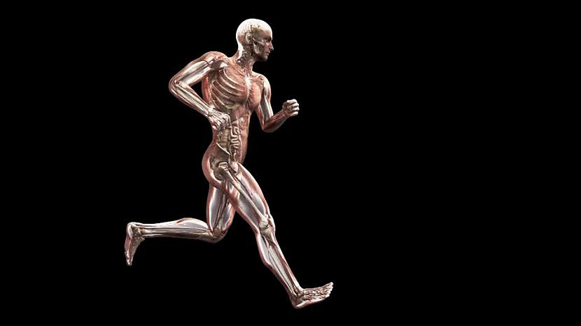 8 Uzlabojas orgānu darba... Autors: Lords Lanselots 10 iemesli, kāpēc tev būtu jāsāk skriet!