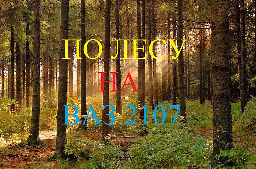  Autors: Andrei Nikitkin4 ceļojums uz mežu (По лесу, на ВАЗ 2107, с Лесными хрониками)