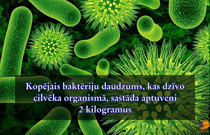  Autors: Prāta Darbnīca 20 fakti, kas vairos tavas zināšanas