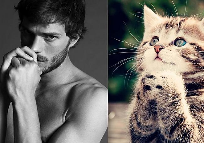 Nesen es iemācījosvēl vienu... Autors: Fosilija Vīrieši vs kaķi! Kas tev labāk?