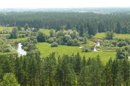 Latvija ir otrā zaļākā valsts... Autors: Fosilija 10 lietas ar ko var lepoties katrs latvietis