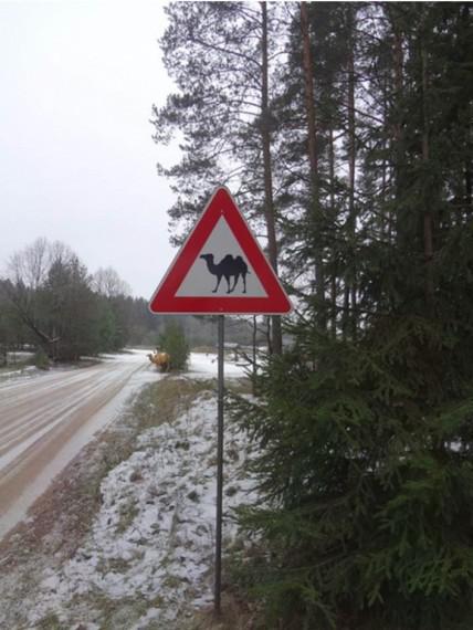 Izrādās ka Latvijā savvaļā... Autors: slepkavnieciskais 25 komiskas brīdinājuma zīmes no visas Latvijas