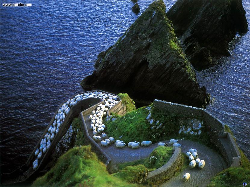 Kalnu taka Dinglā Autors: LordsX Gribu uz Īriju