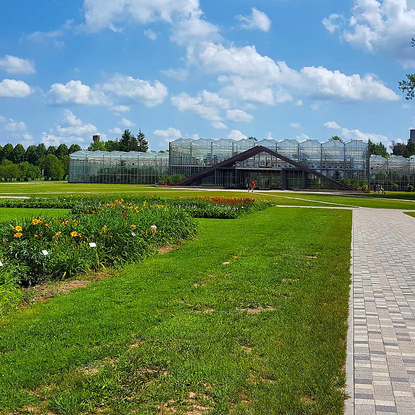 Vieta kur aug banāni un... Autors: ghost07 Apmeklēju Salaspils botanisko dārzu
