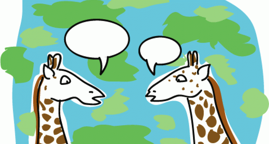 Vai esat kādreiz domājusi... Autors: Fosilija Random fakti par žirafēm