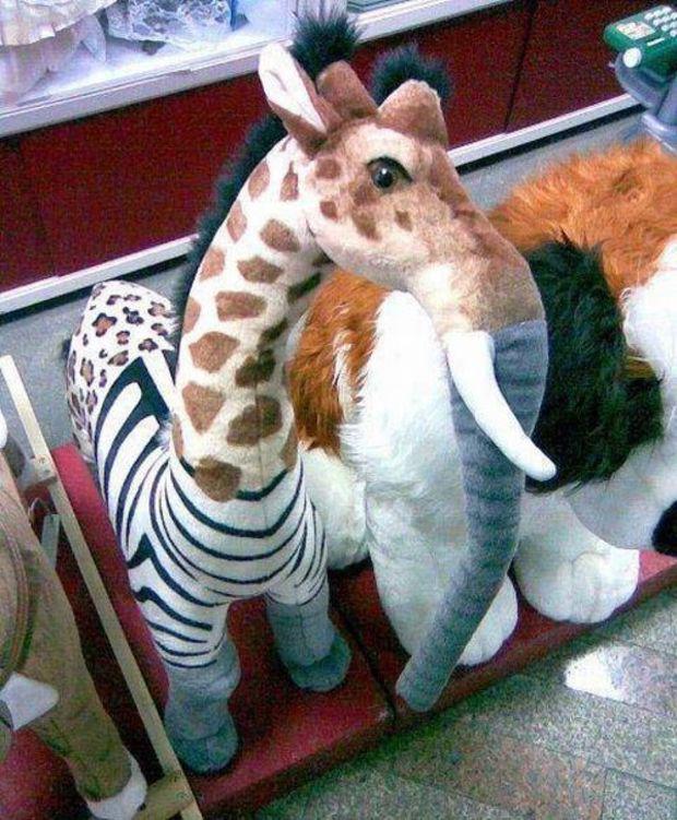 Tā ir žirafe Zebra... Autors: slepkavnieciskais 22 šausminošas un smieklīgas rotaļlietas, kas traumētu jebkuru bērnu.