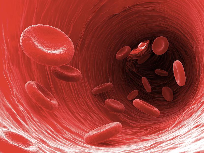 Tavi asins vadi ir tik ļoti... Autors: Geimeris Apbrīnojami fakti par TAVU ķermeni!