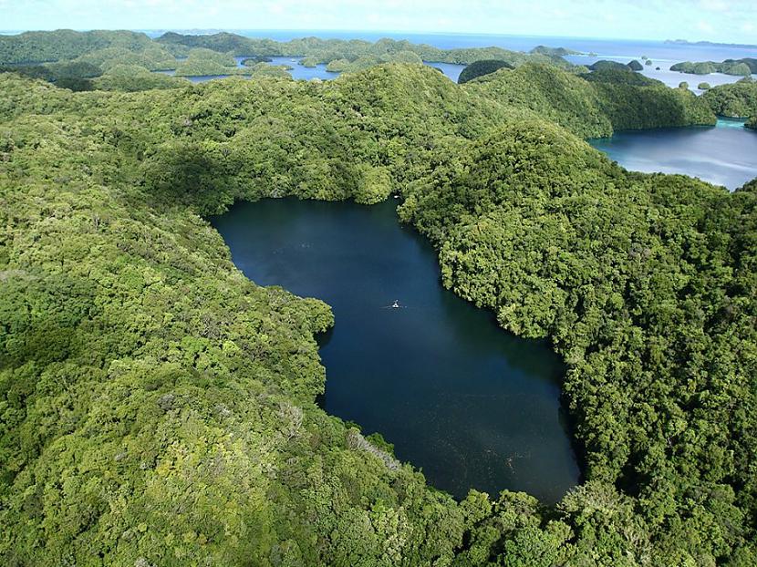 Medūzu ezers Palau Autors: sfinksa Aizraujoši tūrisma objekti pasaulē