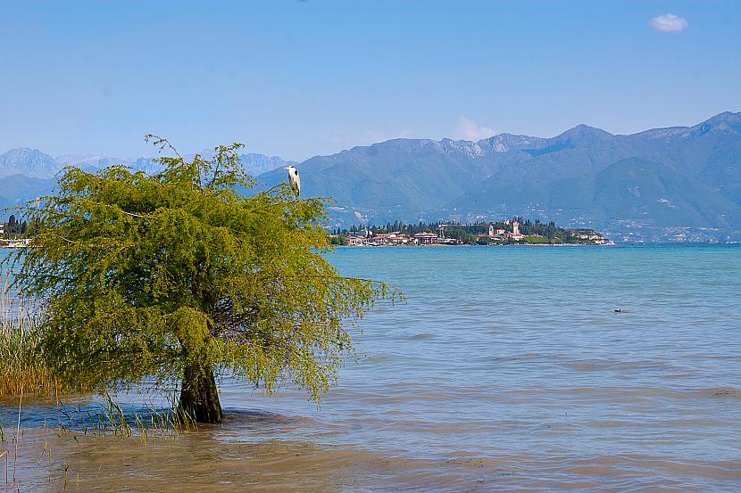 Gardas ezers Itālija Autors: LordRudolf Manas ainavu fotogrāfijas
